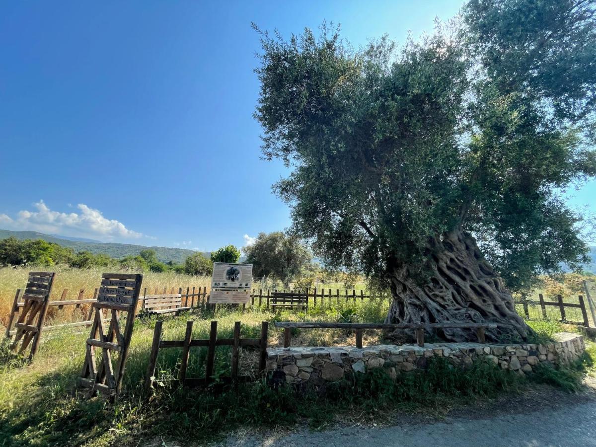 Orange Country House Chania  Zewnętrze zdjęcie